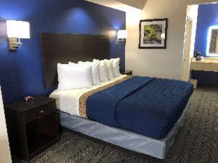 Executive Inn And Suites Joaquin Pokoj fotografie